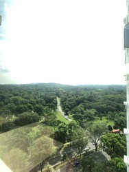 Flame Tree Park (D20), Condominium #177234992